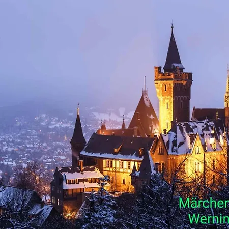 Apartment Modernes Harz Ueber Den Baumspitzen